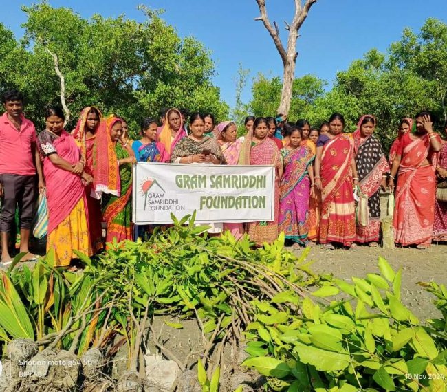 sapling distribution