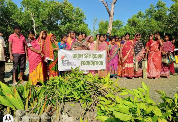sapling distribution